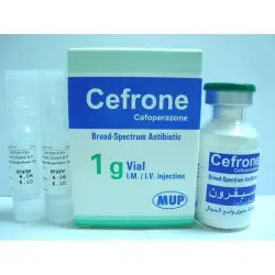Cefrone 1 Gm 1 Vial
