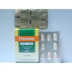 فلوكسامو 1 جم (500+500 مجم) 16 قرص | Floxamo 1 Gm (500+500 Mg) 16 Tab