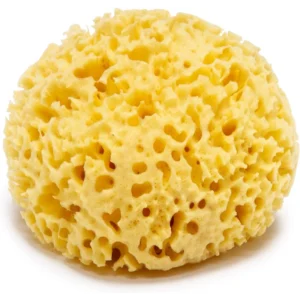 بيوتي تيم 100 ناتشورال سيا سبونجي سمول بت332 | Beauty Time 100 Natural Sea Sponge Small Bt332