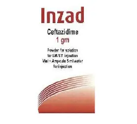 إينزاد 1 جم آي إم/آي في 1 فيال | Inzad 1 Gm I.M./I.V. 1 Vial