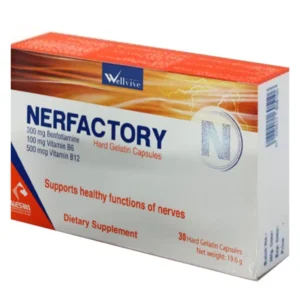 نيرفاكتوري (أويلفيف) 30 كبسولة | Nerfactory (Wellvive) 30 Cap
