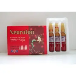 نيوروتون 6 أمبول 2 مل | Neuroton 6 Amp 2 Ml