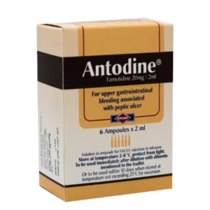 أنتودين 20 مجم / 2 مل 6 أمبول | Antodine 20 Mg / 2 Ml 6 Amp